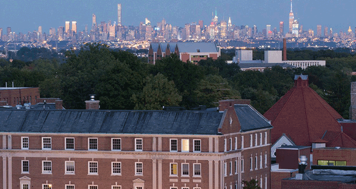 The New York skyline as seen from the Township of Montclair.
